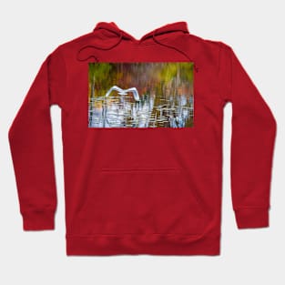 Watercolor Reflections Hoodie